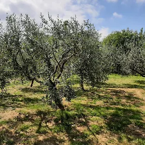 La Casetta Di Bianca , Riccò del Golfo di Spezia Italia